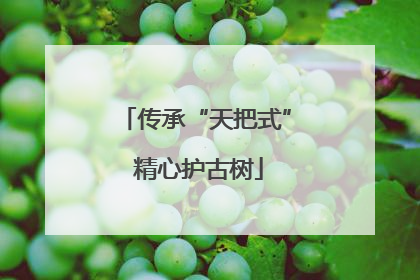 传承“天把式” 精心护古树