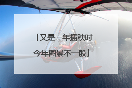 又是一年插秧时 今年图景不一般