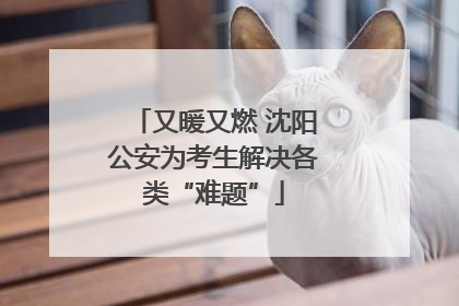 又暖又燃 沈阳公安为考生解决各类“难题”