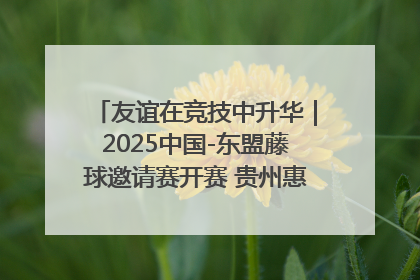 友谊在竞技中升华｜2025中国-东盟藤球邀请赛开赛 贵州惠水燃动“空中芭蕾”
