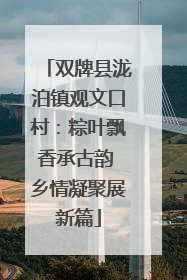 双牌县泷泊镇观文口村：粽叶飘香承古韵 乡情凝聚展新篇