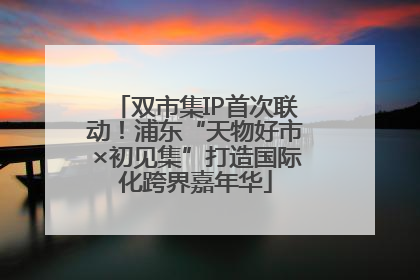 双市集IP首次联动！浦东“天物好市×初见集”打造国际化跨界嘉年华