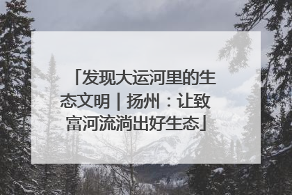 发现大运河里的生态文明｜扬州：让致富河流淌出好生态