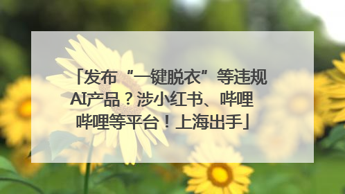 发布“一键脱衣”等违规AI产品？涉小红书、哔哩哔哩等平台！上海出手