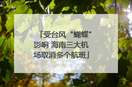 受台风“蝴蝶”影响 海南三大机场取消多个航班