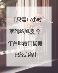 只需17小时就到新加坡 今年首批青田杨梅已经启程
