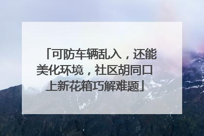 可防车辆乱入，还能美化环境，社区胡同口上新花箱巧解难题