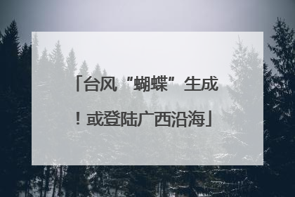 台风“蝴蝶”生成！或登陆广西沿海