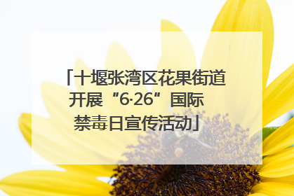 十堰张湾区花果街道开展“6·26”国际禁毒日宣传活动