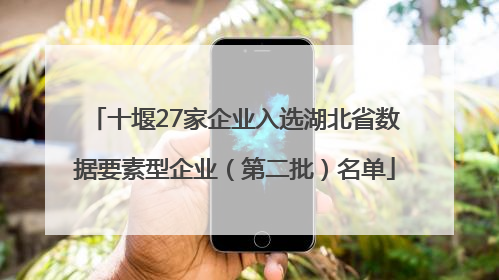 十堰27家企业入选湖北省数据要素型企业（第二批）名单