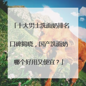 十大男士洗面奶排名口碑揭晓，国产洗面奶哪个好用又便宜？