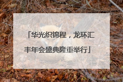 华光织锦程，龙环汇丰年会盛典隆重举行