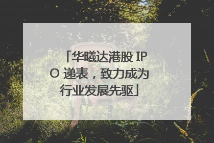 华曦达港股 IPO 递表，致力成为行业发展先驱