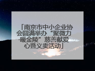 南京市中小企业协会圆满举办“聚微力·暖金陵”慈善献爱心暨义卖活动