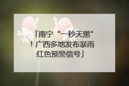 南宁“一秒天黑”！广西多地发布暴雨红色预警信号