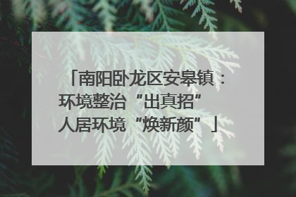 南阳卧龙区安皋镇：环境整治“出真招” 人居环境“焕新颜”
