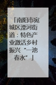 南阳市宛城区溧河街道：特色产业激活乡村振兴“一池春水”
