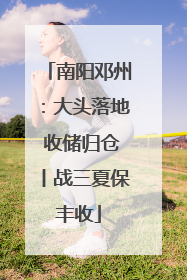南阳邓州：大头落地 收储归仓丨战三夏保丰收