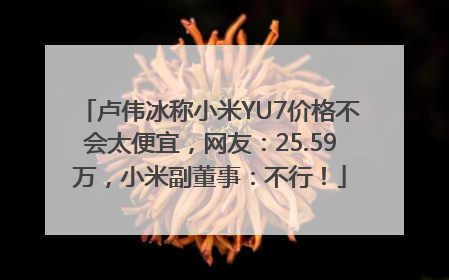 卢伟冰称小米YU7价格不会太便宜，网友：25.59万，小米副董事：不行！