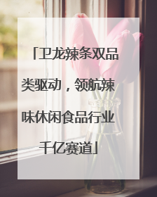 卫龙辣条双品类驱动，领航辣味休闲食品行业千亿赛道