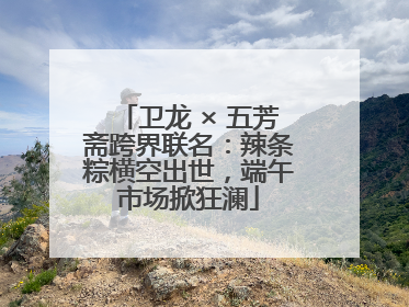 卫龙 × 五芳斋跨界联名：辣条粽横空出世，端午市场掀狂澜
