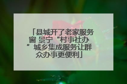 县城开了老家服务窗 景宁“村事社办”城乡集成服务让群众办事更便利