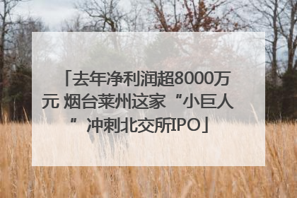 去年净利润超8000万元 烟台莱州这家“小巨人”冲刺北交所IPO