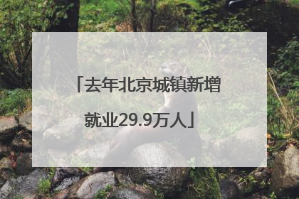 去年北京城镇新增就业29.9万人
