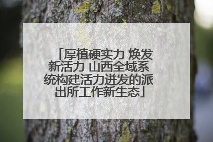 厚植硬实力 焕发新活力 山西全域系统构建活力迸发的派出所工作新生态