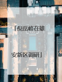 倪岳峰在雄安新区调研