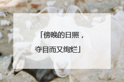 傍晚的日照，夺目而又绚烂