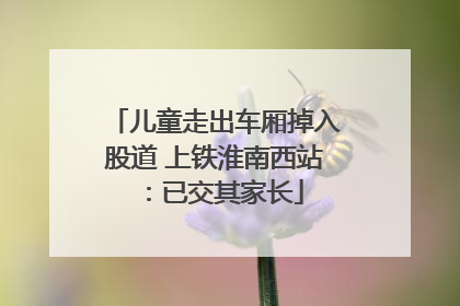 儿童走出车厢掉入股道 上铁淮南西站：已交其家长