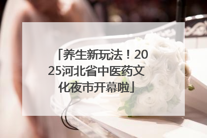 养生新玩法！2025河北省中医药文化夜市开幕啦