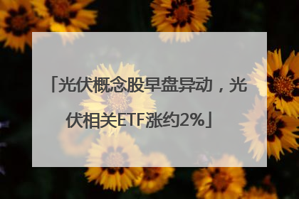 光伏概念股早盘异动，光伏相关ETF涨约2%