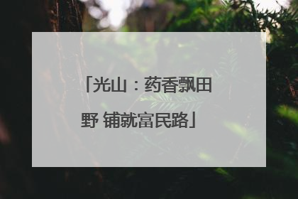 光山：药香飘田野 铺就富民路