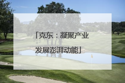 克东：凝聚产业发展澎湃动能