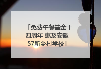 免费午餐基金十四周年 惠及安徽57所乡村学校
