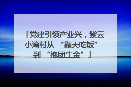 党建引领产业兴，紫云小湾村从 “靠天吃饭” 到 “抱团生金”