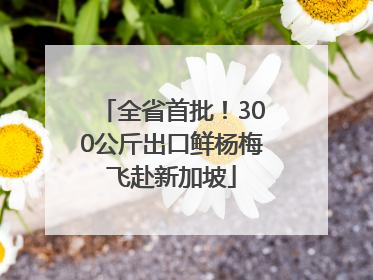 全省首批！300公斤出口鲜杨梅飞赴新加坡