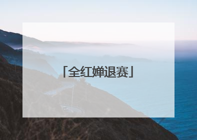 全红婵退赛