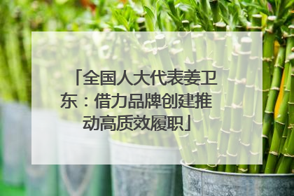 全国人大代表姜卫东：借力品牌创建推动高质效履职