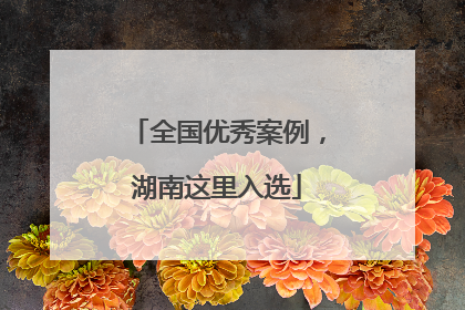 全国优秀案例，湖南这里入选