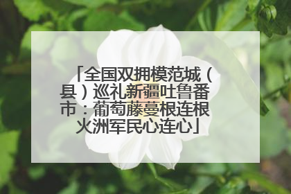 全国双拥模范城（县）巡礼新疆吐鲁番市：葡萄藤蔓根连根 火洲军民心连心