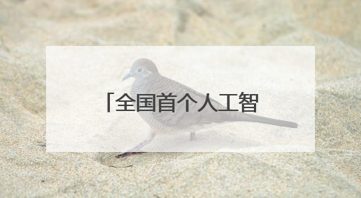 全国首个人工智能终端展在深圳启幕_深圳新闻网