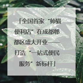 全国首家“帅猫便利店”在成都郫都区盛大开业——打造“一站式便民服务”新标杆
