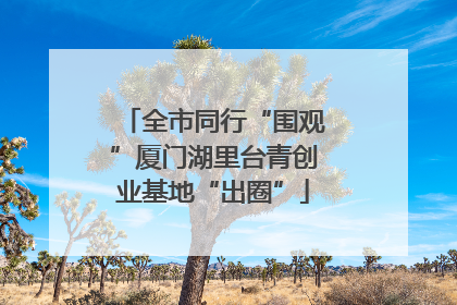 全市同行“围观”厦门湖里台青创业基地“出圈”