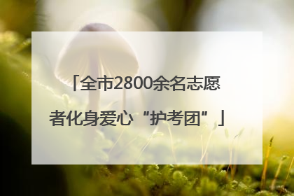 全市2800余名志愿者化身爱心“护考团”