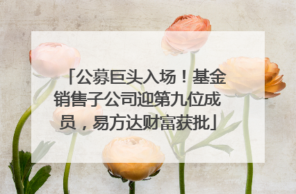 公募巨头入场！基金销售子公司迎第九位成员，易方达财富获批