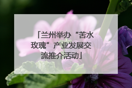 兰州举办“苦水玫瑰”产业发展交流推介活动