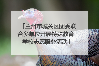兰州市城关区团委联合多单位开展特殊教育学校志愿服务活动
